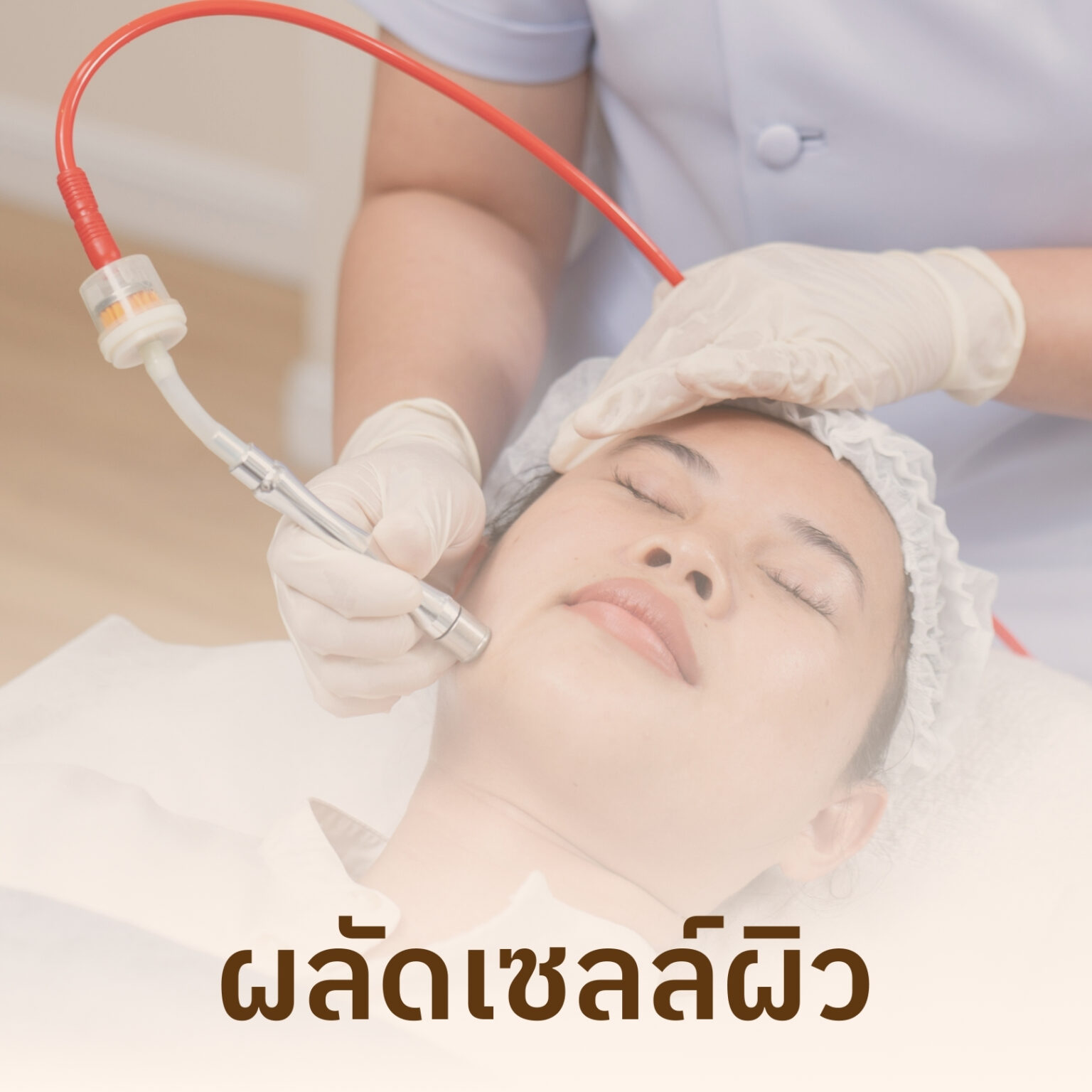 ผลัดเซลล์ผิว