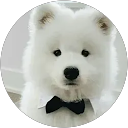 PAMPALM profile picture