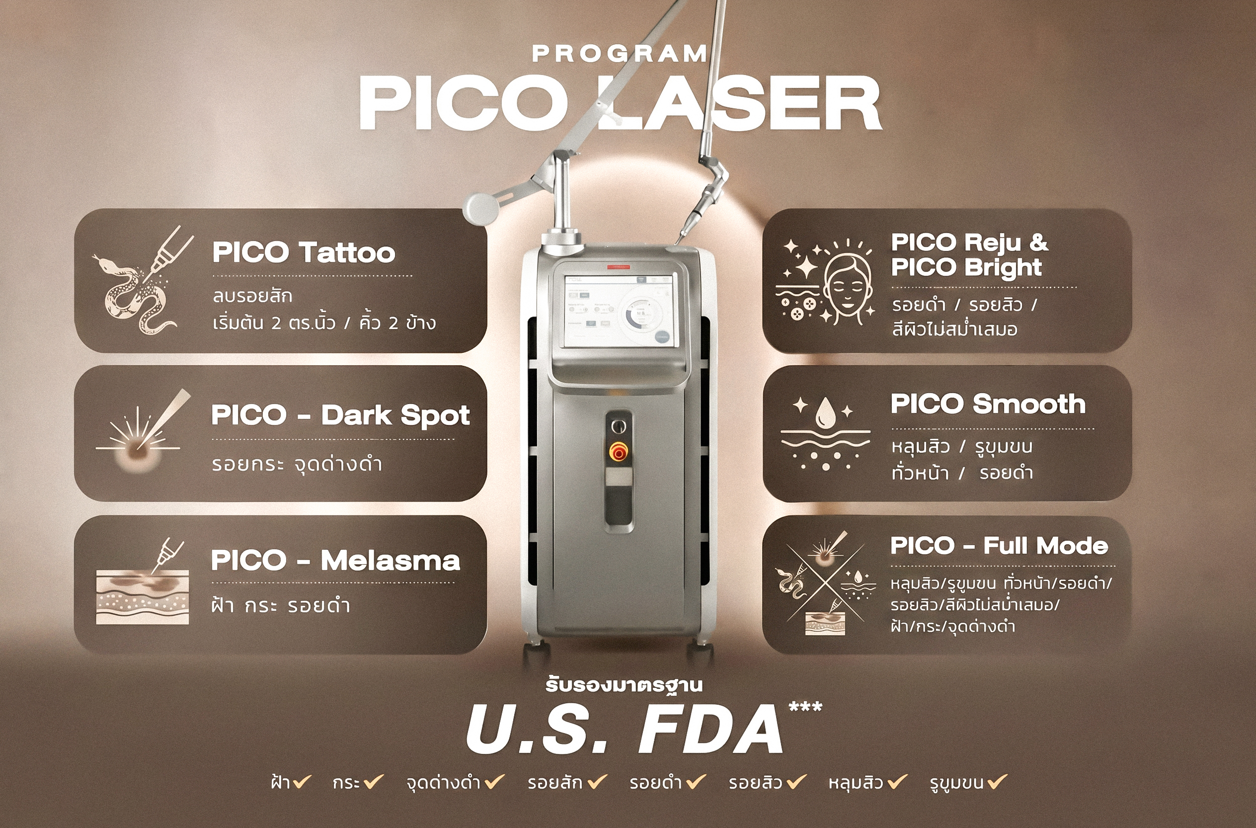 โปรแกรม PICO 1