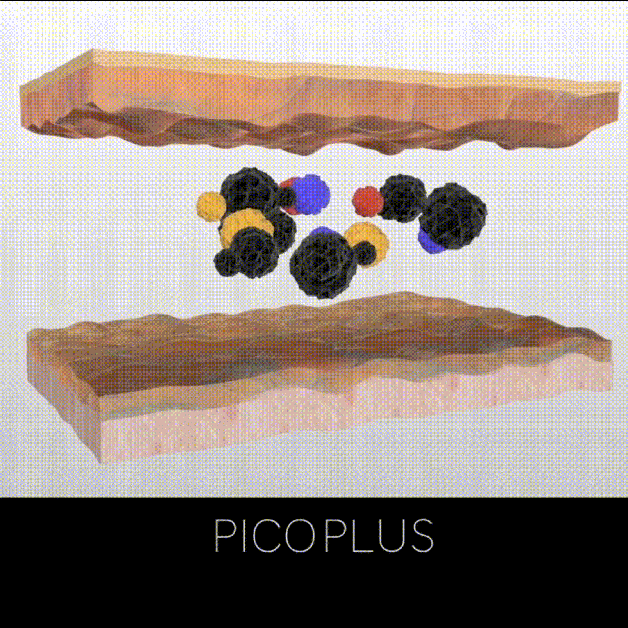 pico-gifpico1